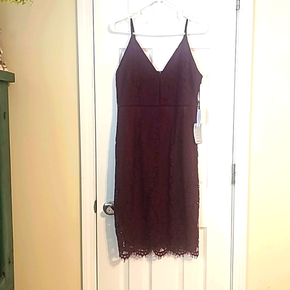 ASTR Plum lace Dress - Picture 1 of 9